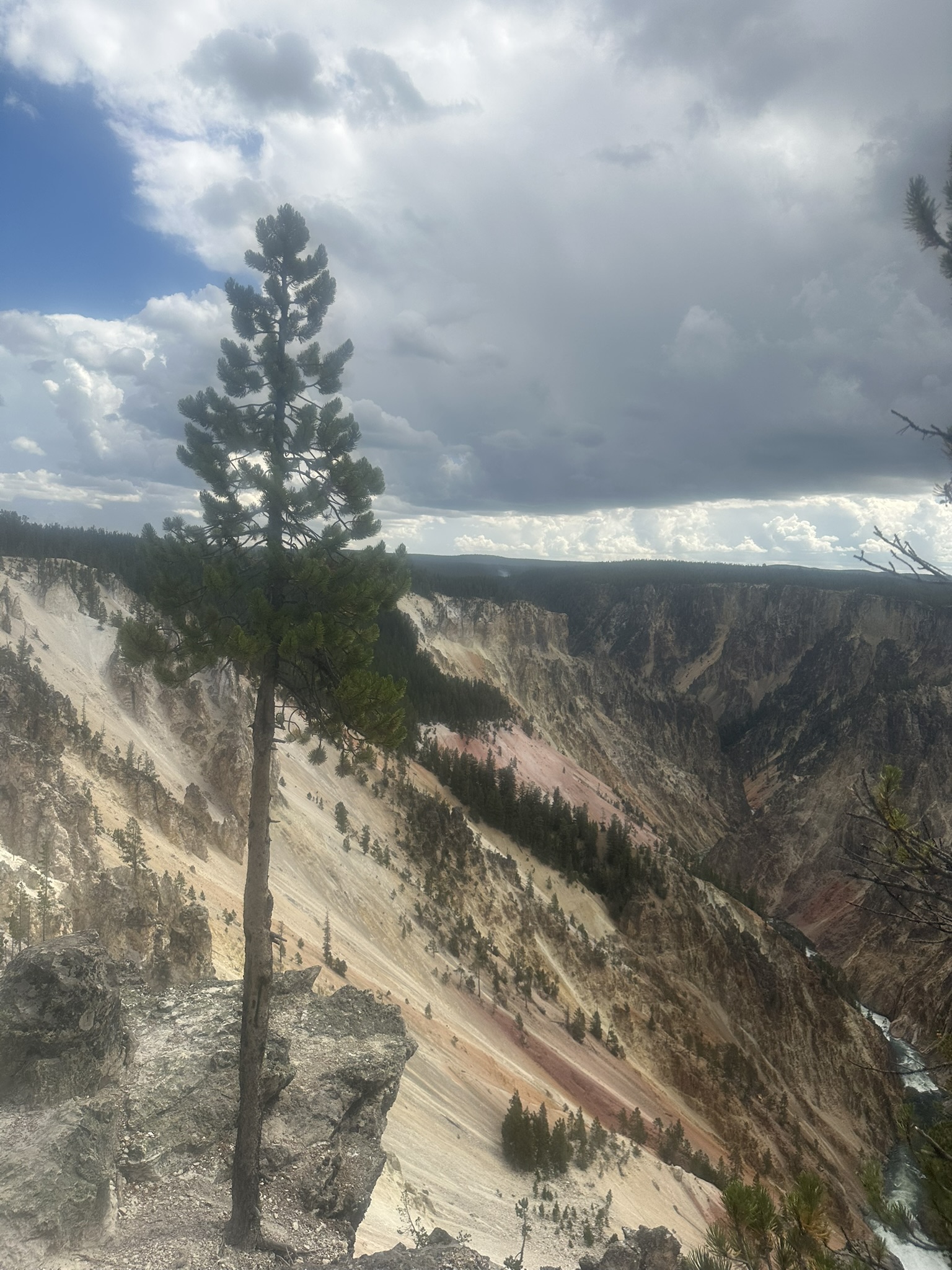 Yellowstone And Grand Teton National Parks - Image 650